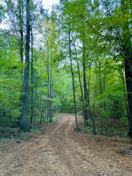 Land for sale in Wilkes County, Georgia