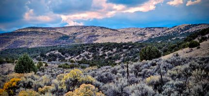 Farm and Ranch for sale in Moffat County, Colorado