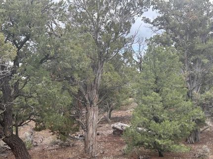 Undeveloped Land for sale in Duchesne County, Utah
