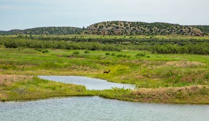 Undeveloped Land for sale in Stonewall County, Texas