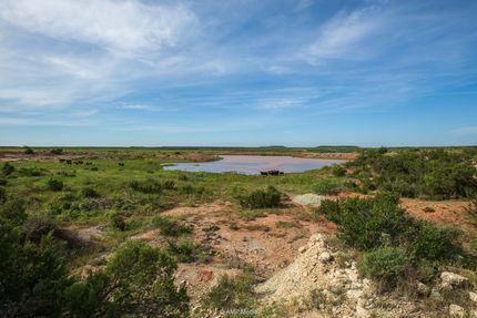 Farm and Ranch for sale in Stonewall County, Texas
