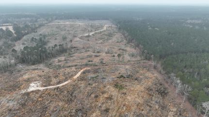 Undeveloped Land for sale in Wayne County, Mississippi