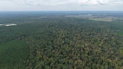 Recreational Property for sale in Cleveland County, Arkansas