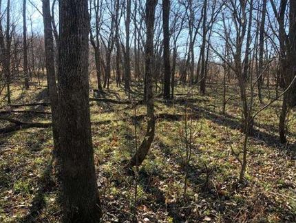 Farm and Ranch in Macon County, Missouri