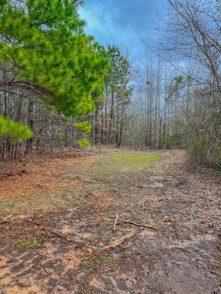 Hunting Property for sale in Upshur County, Texas