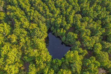 Undeveloped Land for sale in Henderson County, Texas