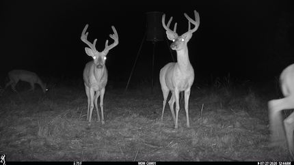 Recreational Property for sale in Coleman County, Texas