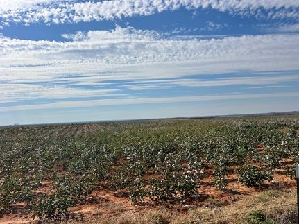 Commercial Property for sale in Mitchell County, Texas