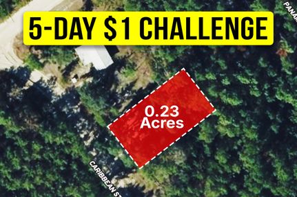 Undeveloped Land for sale in Putnam County, Florida