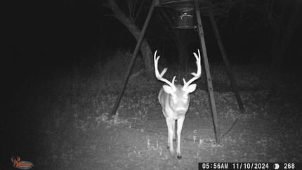 Hunting Property for sale in Brown County, Texas