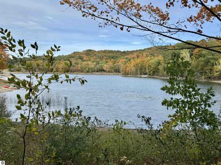 Undeveloped Land for sale in Benzie County, Michigan