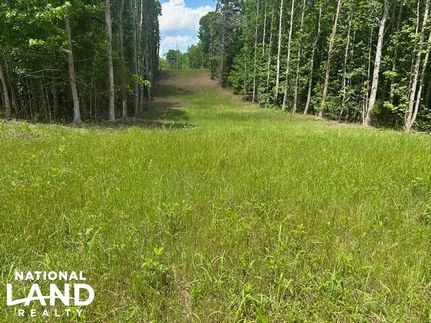 Land for sale in Wayne County, Tennessee