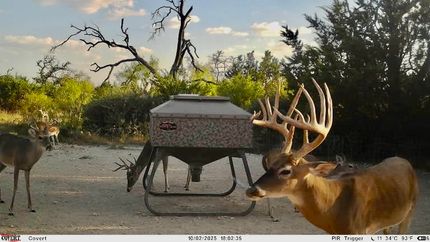 Farm and Ranch for sale in Mills County, Texas