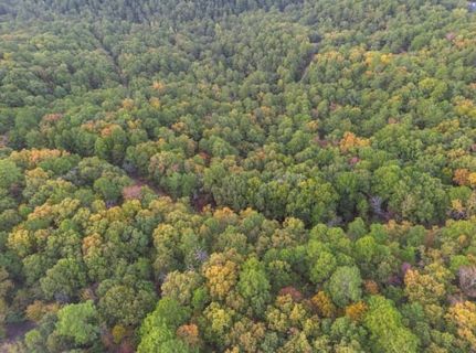 Farm and Ranch for sale in Saline County, Arkansas