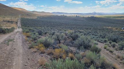 Undeveloped Land for sale in Elko County, Nevada