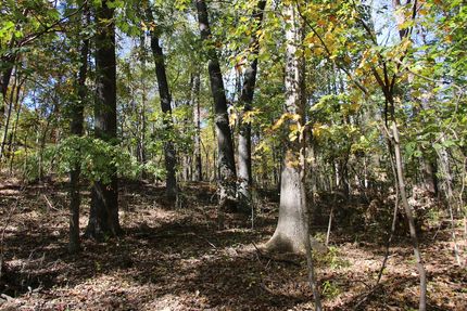 Undeveloped Land for sale in Page County, Virginia