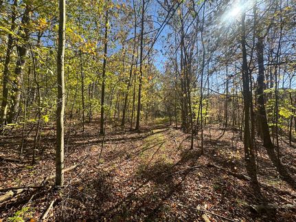 Land for sale in Susquehanna County, Pennsylvania