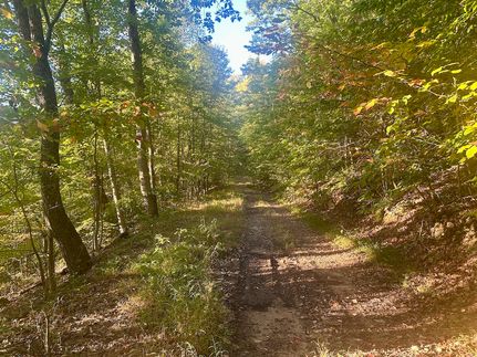 Timberland Property for sale in Boone County, West Virginia