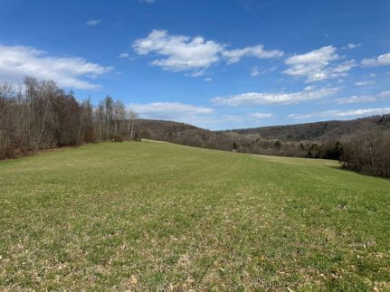 Undeveloped Land for sale in Steuben County, New York