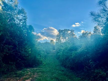 Homesite for sale in Covington County, Mississippi