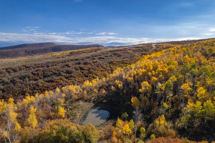 Farm and Ranch for sale in Routt County, Colorado