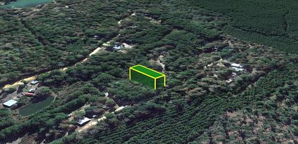 Timberland Property for sale in Polk County, Texas