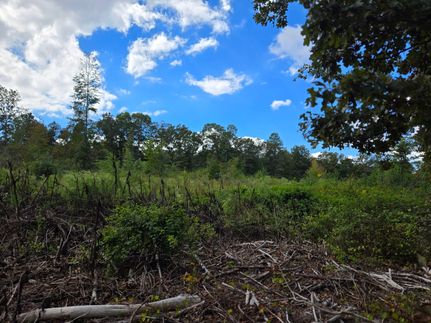 Farm and Ranch for sale in Cherokee County, Alabama