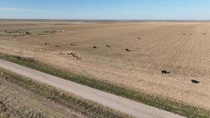 Farm and Ranch for sale in Oldham County, Texas