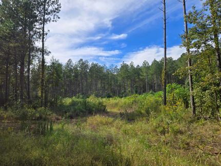 Farm and Ranch for sale in Cherokee County, Alabama