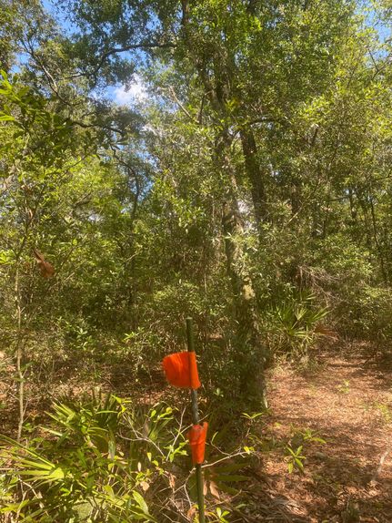 Timberland Property for sale in Putnam County, Florida