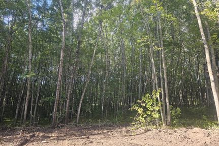 Land for sale in Burnett County, Wisconsin