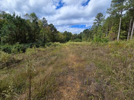 Recreational Property for sale in Cherokee County, Alabama