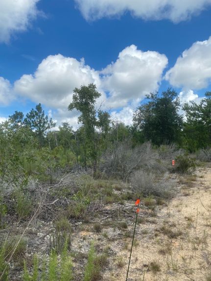 Timberland Property for sale in Putnam County, Florida