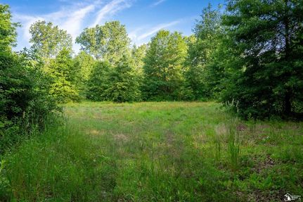 Timberland Property for sale in Monroe County, Michigan