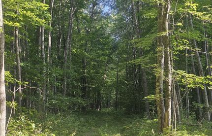 Recreational Property for sale in Burnett County, Wisconsin