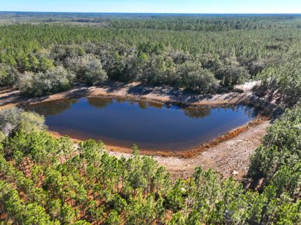 Timberland Property for sale in Camden County, Georgia