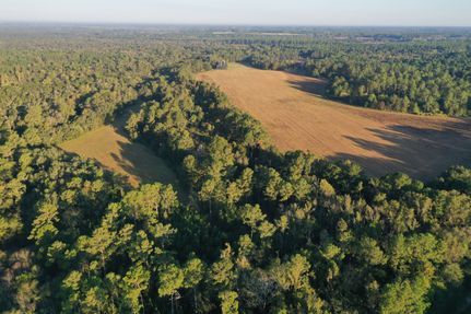 Farm and Ranch for sale in Cook County, Georgia