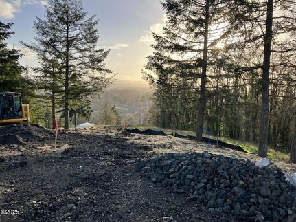 Undeveloped Land for sale in Yamhill County, Oregon