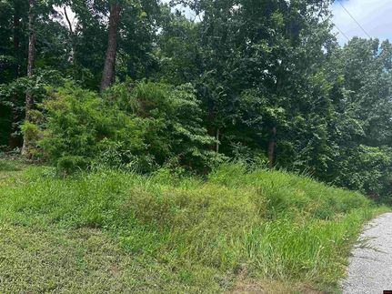 Timberland Property for sale in Baxter County, Arkansas