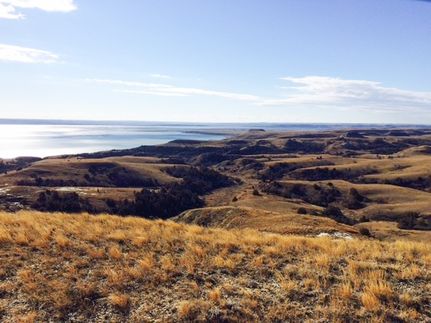 Farm and Ranch for sale in Williams County, North Dakota