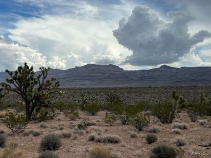 Undeveloped Land for sale in Mohave County, Arizona