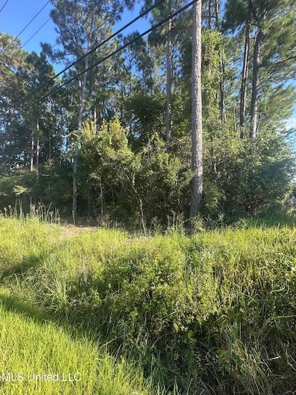 Timberland Property for sale in Jackson County, Mississippi