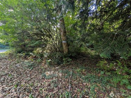 Undeveloped Land for sale in Skagit County, Washington
