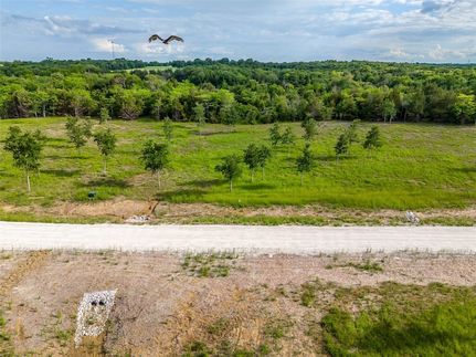 Undeveloped Land for sale in Fannin County, Texas