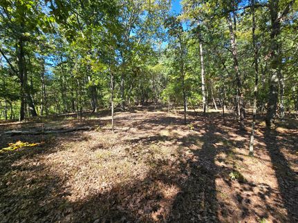 Recreational Property for sale in Cherokee County, Alabama
