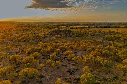 Land for sale in Callahan County, Texas