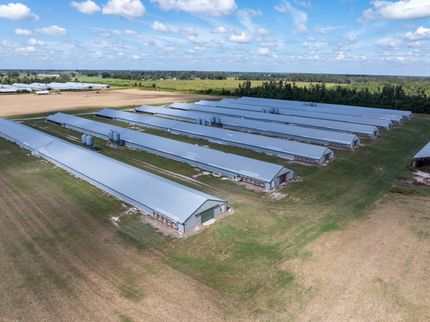 Farm and Ranch for sale in Lafayette County, Florida
