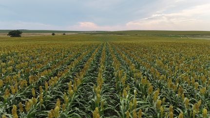 Land for sale in Tripp County, South Dakota