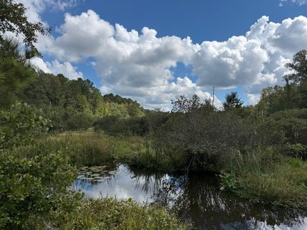 Timberland Property for sale in Jackson Parish, Louisiana