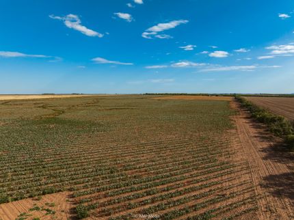 Land for sale in Jones County, Texas